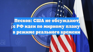 Песков: США не обсуждают с РФ идеи по мирному плану в режиме реального времени