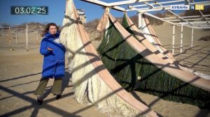 «Мазут и море. Год спустя» 15.12.25