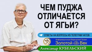 Чем Пуджа отличается от Ягьи?