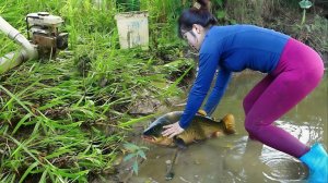 Одинокая девушка осушила озеро и поймала много крупной рыбы.
