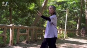 074 лабиринты кунфу