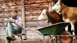 Особенности жизни в селе.