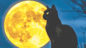 Не было бы...