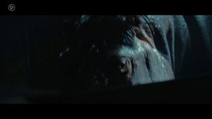 Красавица - 2025 (12)