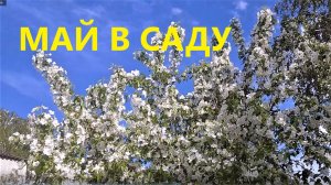 Календарь сада. 22 и 28 мая 2022 года