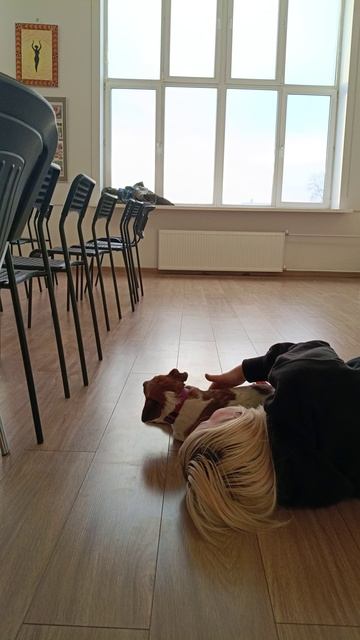 Грани творчества