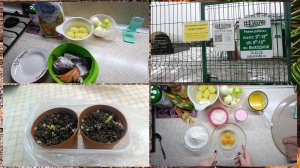 Кекс в аэрогриле.Снова едем в город