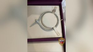 Полиция задержала четырёх участников аферы и изъяла похищенные у москвички украшения на 150 млн руб.