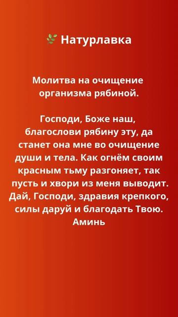 Молитва на очищение рябиной.