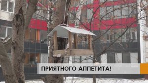 С заботой о братьях наших меньших