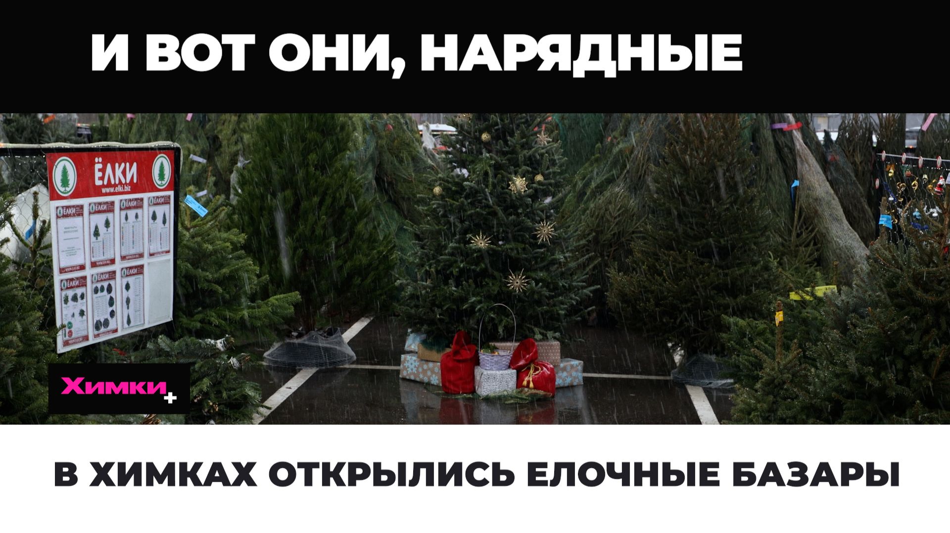 В ХИМКАХ ОТКРЫЛИСЬ ЕЛОЧНЫЕ БАЗАРЫ смотреть онлайн