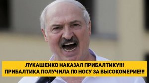 ЛУКАШЕНКО НАКАЗАЛ ПРИБАЛТИКУ!!! ПРИБАЛТИКА ПОЛУЧИЛА ПО НОСУ ЗА ВЫСОКОМЕРИЕ!!!