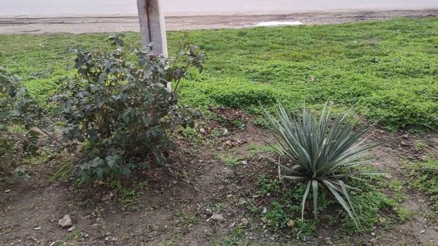 Один из дней города Евпатории | 5 февраля 2021 год  Крым | ХАН БАТОН XAH 6ATOH | VID_20210205_140838