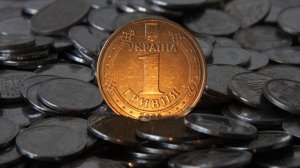 Профильный комитет рады рекомендовал переименовать копейку в «шаг»