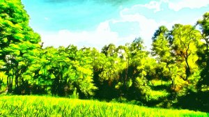 Середина лета