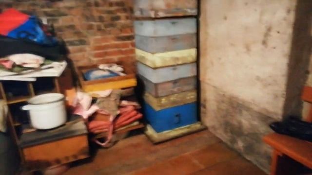 КАК СДЕЛАТЬ УЛЬИ ИЗ ФАНЕРЫ! ОБЛЕГЧЁННЫЕ УЛЬИ! ЭКСПЕРИМЕНТАЛЬНОЕ ПЧЕЛОВОДСТВО! ПЧЕЛОВОДСТВО В СИБИРИ!