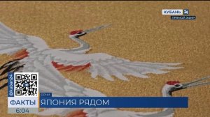 Выставка «Япония. Красота повседневности» открылась в сочинском дендрарии