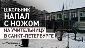 Девятиклассник ранил ножом учительницу в петербургской школе