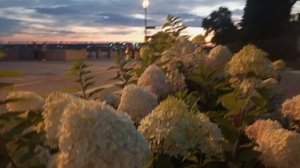 Хороший доктор прописал  прогулки