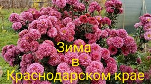 На златом крыльце сидели...Кручу верчу.