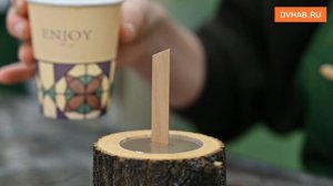 Подарок своими руками: мастерим свечу в спиле дерева