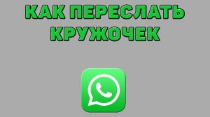 Как переслать кружочек в Ватсапе