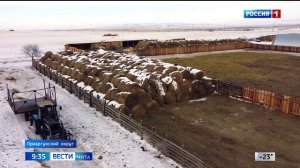 15 декабря «Вести-Чита» в 09:30