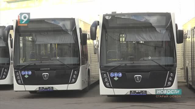 Новые, комфортные, большие: в Старый Оскол прибыли современные автобусы