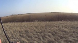 Охота на зайца в Казахстане 2025! Снега нет) #hunting #охота #охотаназайца #тоз34