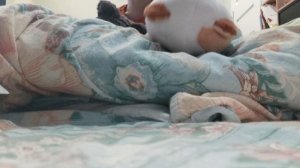 едем к тигру #2