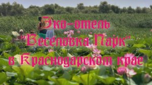 Эко-отель «Веселовка Парк»  в Краснодарском крае
