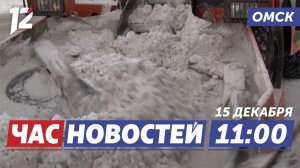 Ночной снегопад / Особый график выплат / Поставка ёлок. Новости Омска