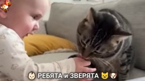 Ребята и зверята от ИИ милое видео для души и радости 👶🏻😺🐶 (5)