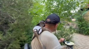 Анфиса СОСКУЧИЛАСЬ по папе Владу и мы с ней отправились искать его вместе)))