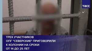 Трех участников ОПГ "Северские" приговорили к колонии на сроки от 14 до 25 лет