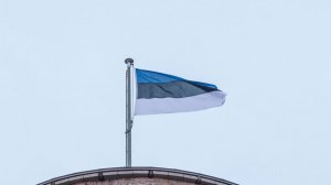 Эстония предложила заплатить Венгрии за отказ от импорта газа и нефти из РФ