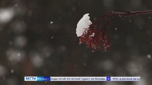 Температурные качели: за выходные в Кузбассе стало теплее на 30 градусов