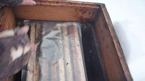 Что делать с проблемными семьями в пик зимовки?