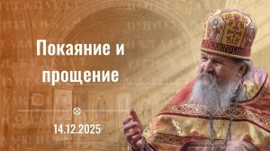 "Я почувствовал такую благодать!" Проповедь о. Андрея Лемешонка 14 декабря 2025 г.