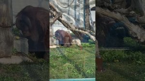 Поездка в Ижевск