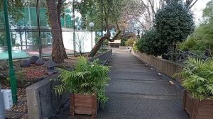 Зимой на отдых в Сочи. Санаторий Ивушка, красивая территория.