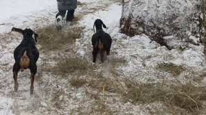 Ролик и о хозяйстве и  о шитье/ Подарки к Новому году!