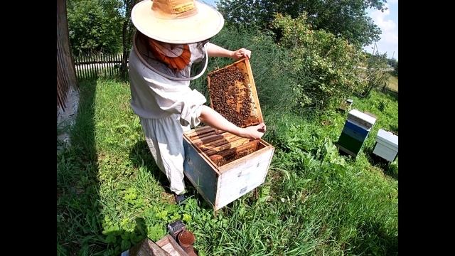 ЛЕТНИЕ РАБОТЫ НА ПАСЕКЕ//ПЧЕЛОВОДСТВО НА ПРАКТИКЕ// МОИ СПОСОБЫ И ВОПРОСЫ К ПРОФЕССИОНАЛАМ