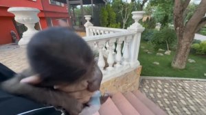 Мы снова МЧИМСЯ с Анфисой за Владом, только ветер в лицо)