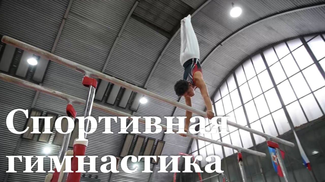 В Луганске прошли Республиканские соревнования по спортивной гимнастике смотреть онлайн