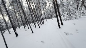 #Промысловики первая короткометрашка