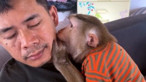 Успокаивающий уход от обезьянки | ASMR- Груминг для быстрого засыпания