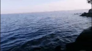 Самый первый поход на острова Вани и Егорушки 🍀 Копчёная щука 🍀 Лето 2025 г. 🍀
Сямозеро🍀 Карелия