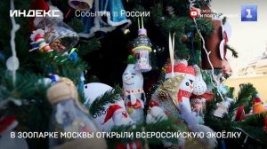 В Московском зоопарке открыли Всероссийскую экоёлку