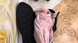 Жили в поле две берёзы. Братья из Михайловки